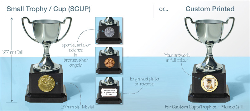 Silver/Blue Trophy handle CUP 275mm sport achievement award 