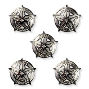 S14 - SCHOLAR badge, silver finish