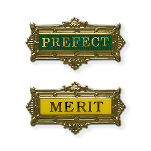 S8 - Enamel badge. PREFECT or MERIT, , 4 standard and 13 non-standard colours