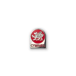 S13 - Welsh Language - Cymraeg